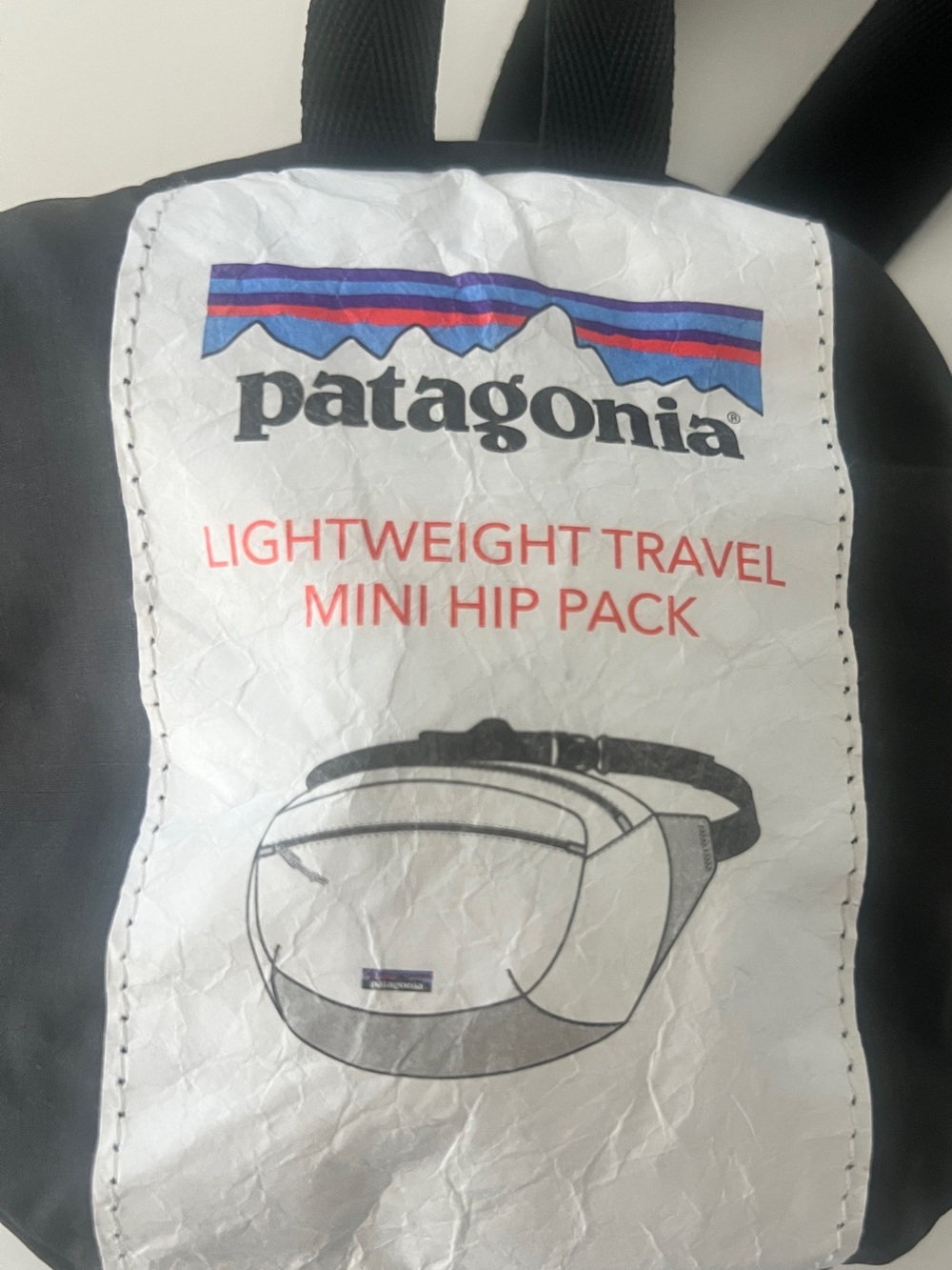 Patagonia Black Lightweight Travel Mini Hip Pack with Multicolor Logo
